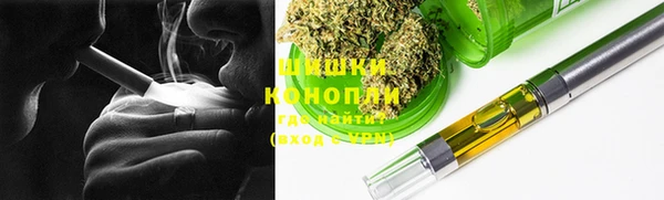 Альфа ПВП Аркадак