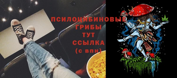 Альфа ПВП Аркадак