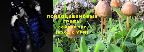 Альфа ПВП Аркадак