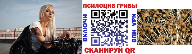 Галлюциногенные грибы Cubensis  KRAKEN зеркало  Лаишево  хочу  