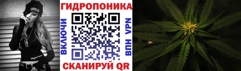 Канабис планчик  цены наркотик  Лаишево 